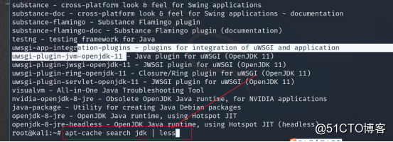 白帽子***与网络安全工程师教你:Kali Linux和Windows软件管理的异同【二】