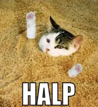 96